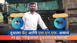दुधाला फॅट आणि एस.एन.एफ. असावं, तर ह्या 