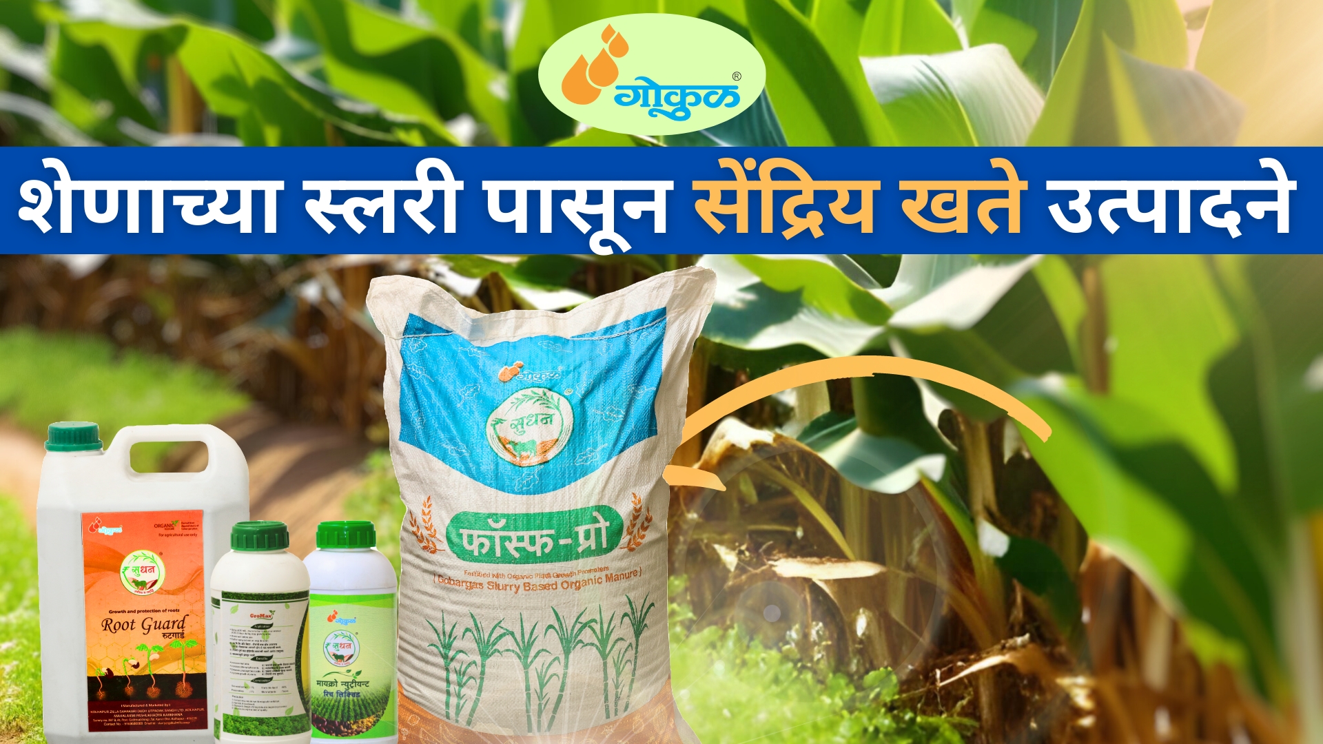 शेणाच्या स्लरी पासून सेंद्रिय खते उत्पादने