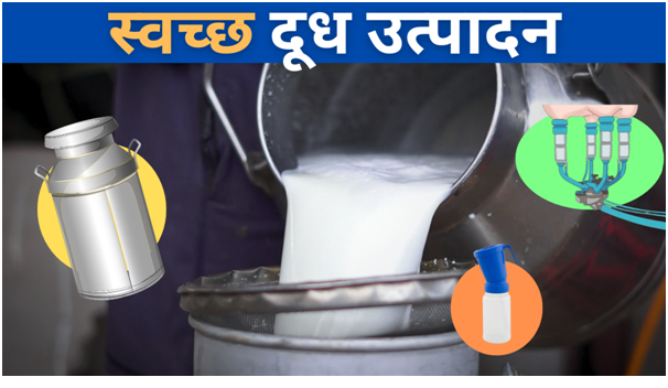 स्वच्छ दूध उत्पादन (Clean Milk Production) 