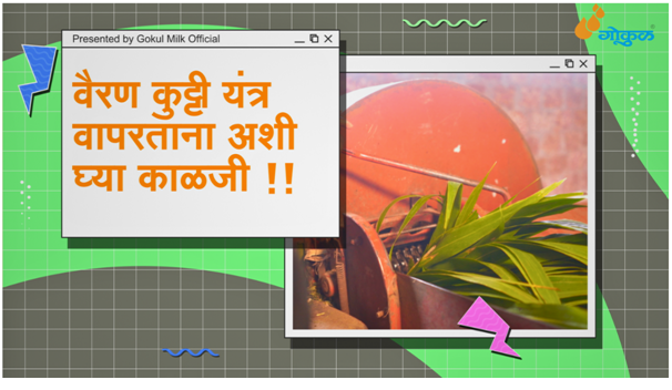 वैरण कुट्टी यंत्र वापरताय? ही काळजी घ्या 