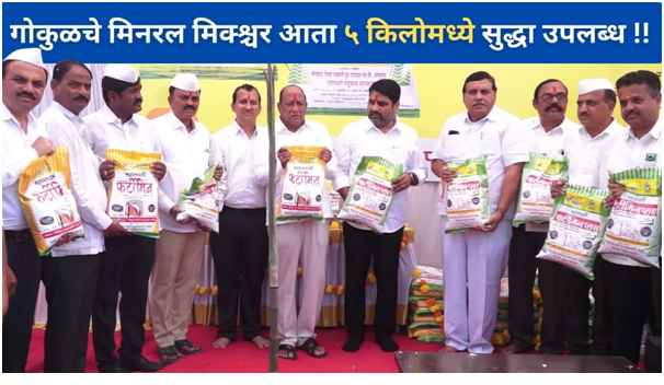 गोकुळचे मिनरल मिक्श्चर आता ५ किलो मध्ये सुद्धा उपलब्ध !