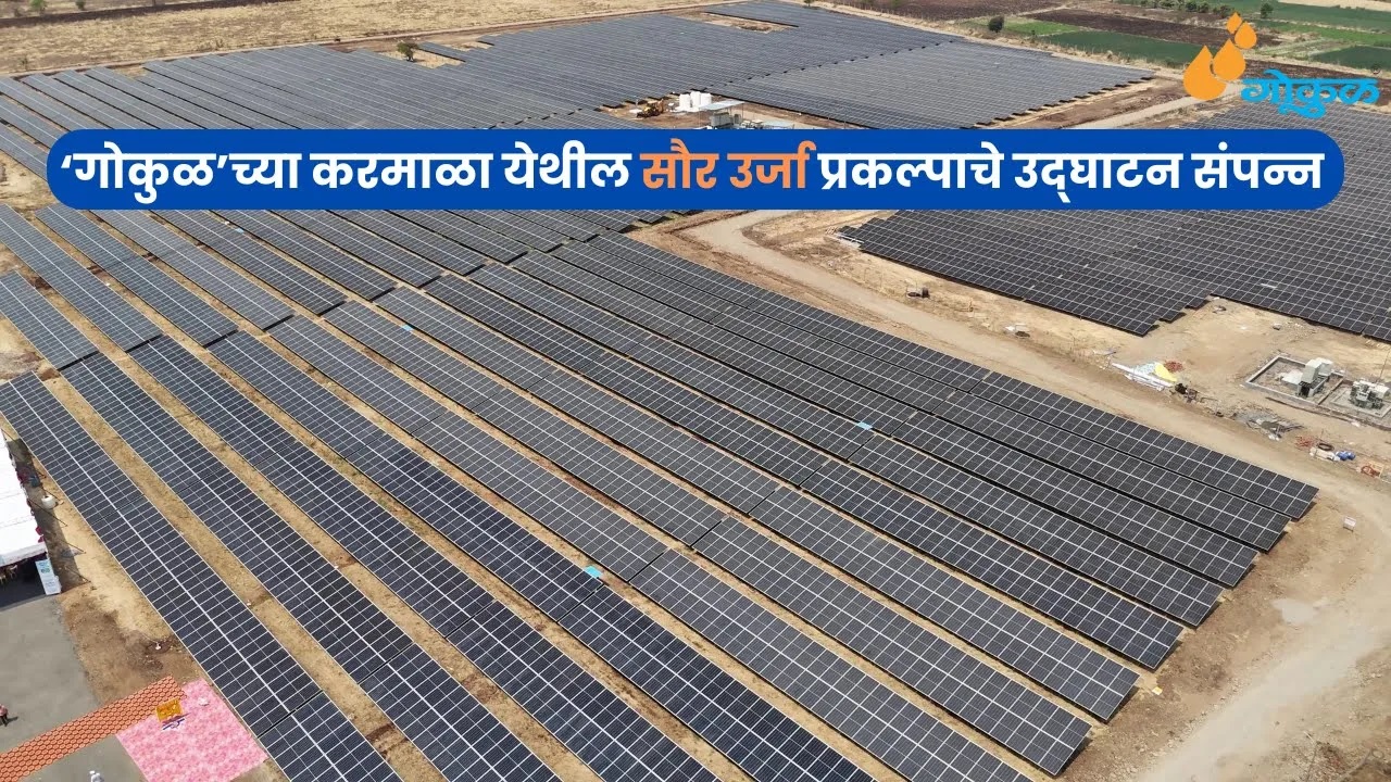 ‘गोकुळ’च्या करमाळा येथील सौर उर्जा प्रकल्पाचे उद्‌घाटन संपन्न !