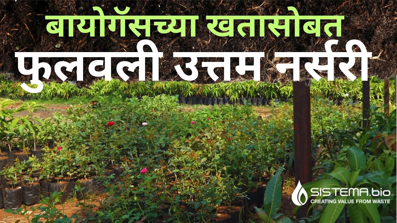 बायोगॅसच्या खतासोबत फुलवली उत्तम नर्सरी !!