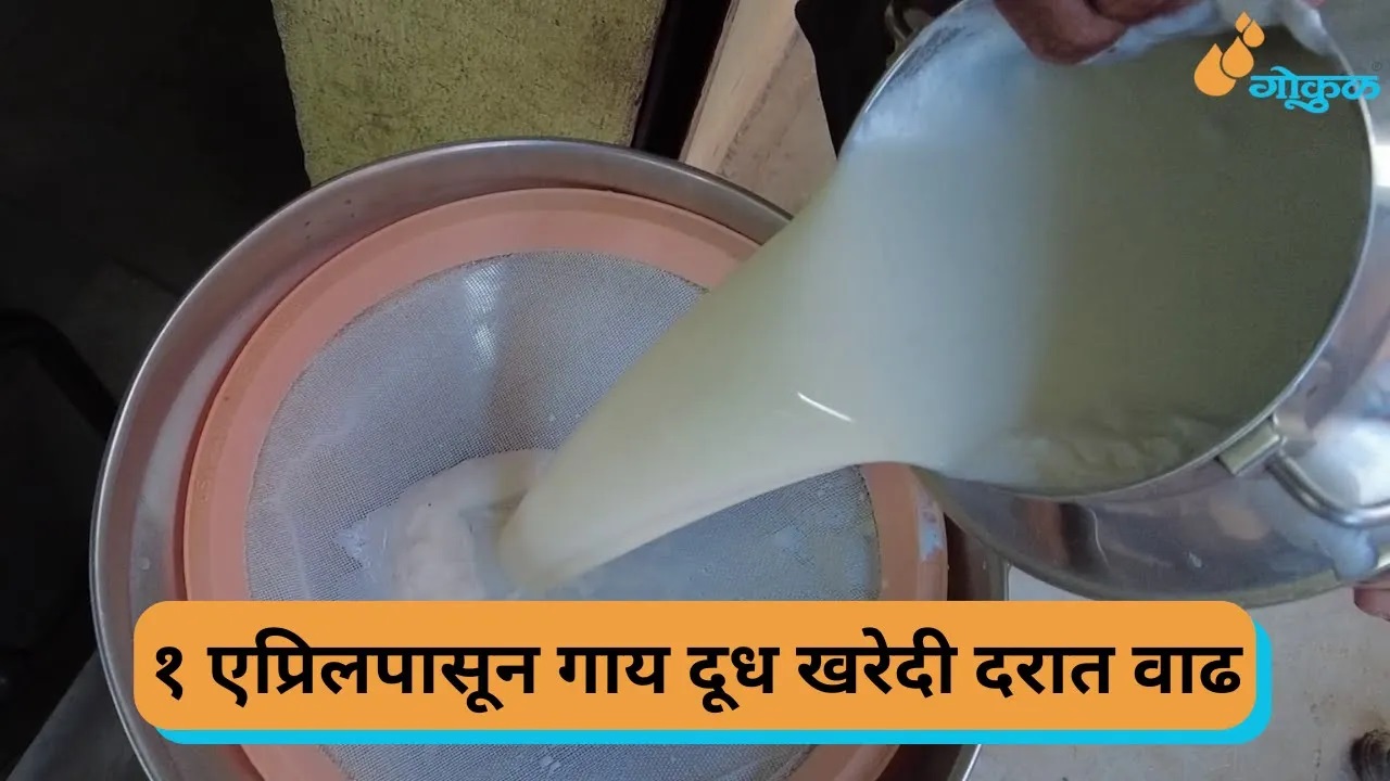 १ एप्रिलपासून गाय दूध खरेदी दरात वाढ 