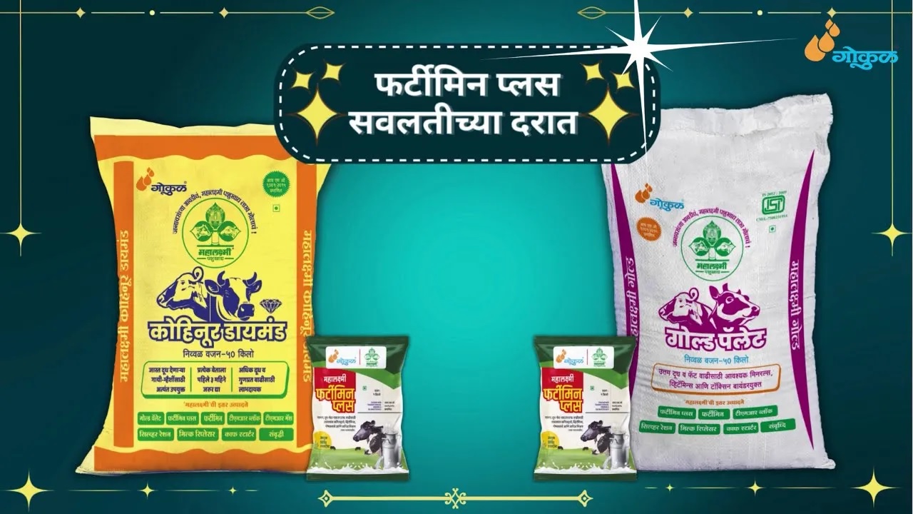 गोकुळचे मिनरल मिक्श्चर आता सवलतीच्या दरात !! 