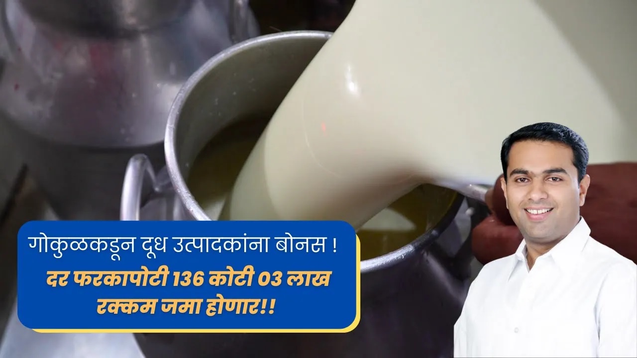 गोकुळकडून दूध उत्पादकांना दिवाळी भेट ! दर फरकापोटी १३६ कोटी ०३ लाख रक्कम जमा