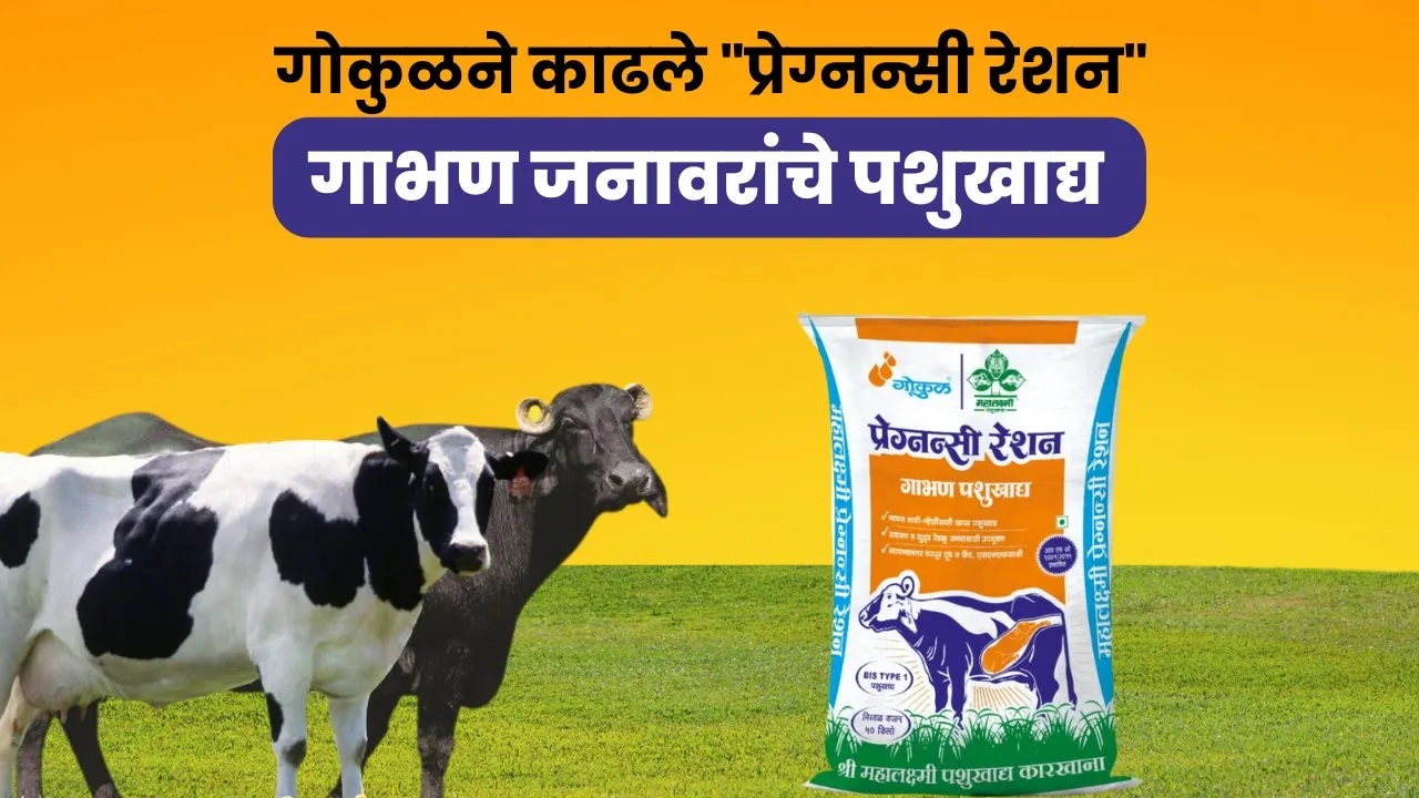 गोकुळने काढले 