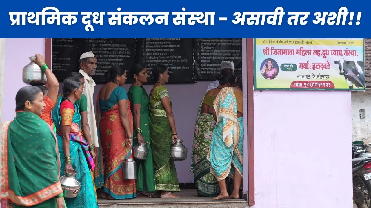 प्राथमिक दूध संकलन संस्था - असावी तर अशी!! 