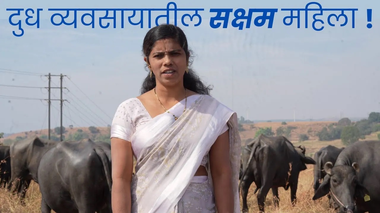 दुध व्यवसायातील सक्षम महिला ! 