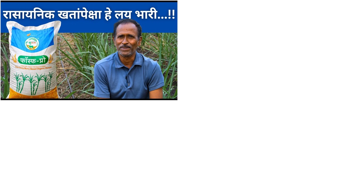 गोकुळचे सुधन फॉस्फ-प्रो सेंद्रिय खत ! 