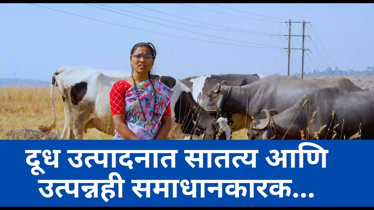 दूध उत्पादनात सातत्य आणि उत्पन्नही समाधानकारक  ! 