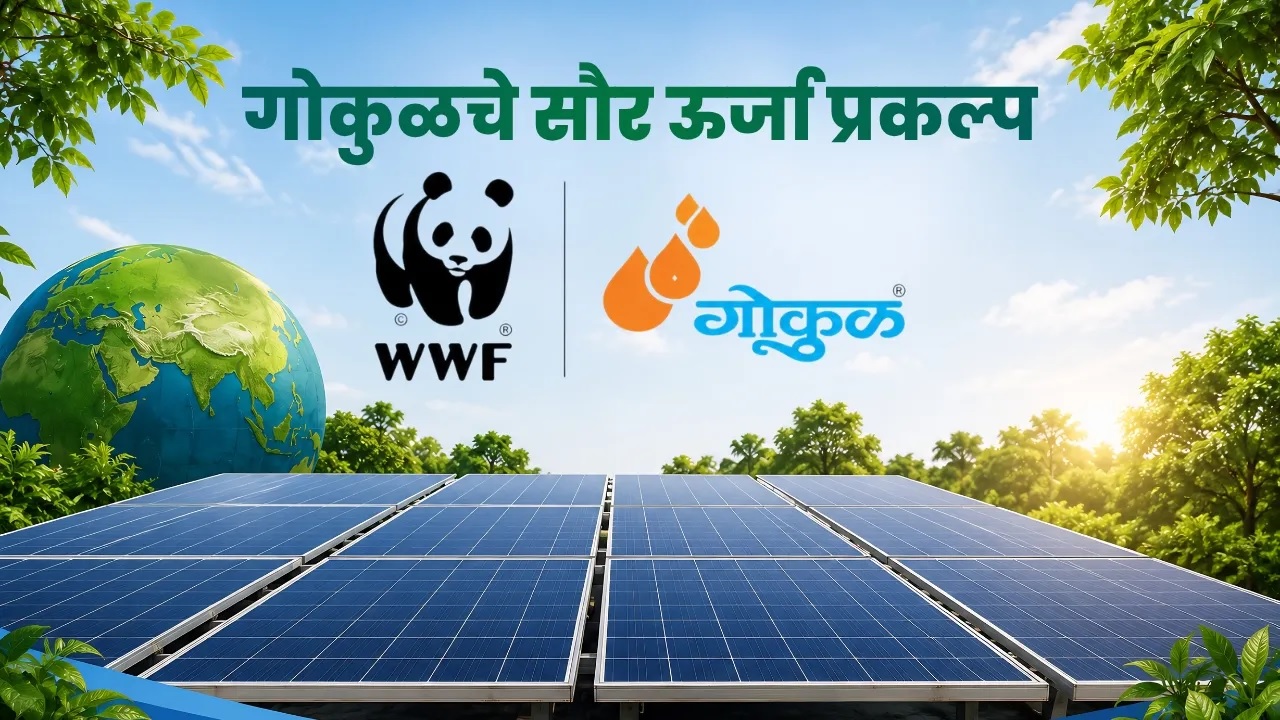 सोलर ऊर्जेच्या वापरातून गोकुळ संघाच्या बीएमसीमध्ये - विजेची बचत...!!!! 