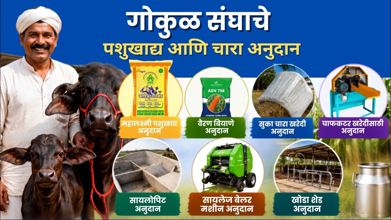 गोकुळ संघाची अनुदाने (भाग -४) 